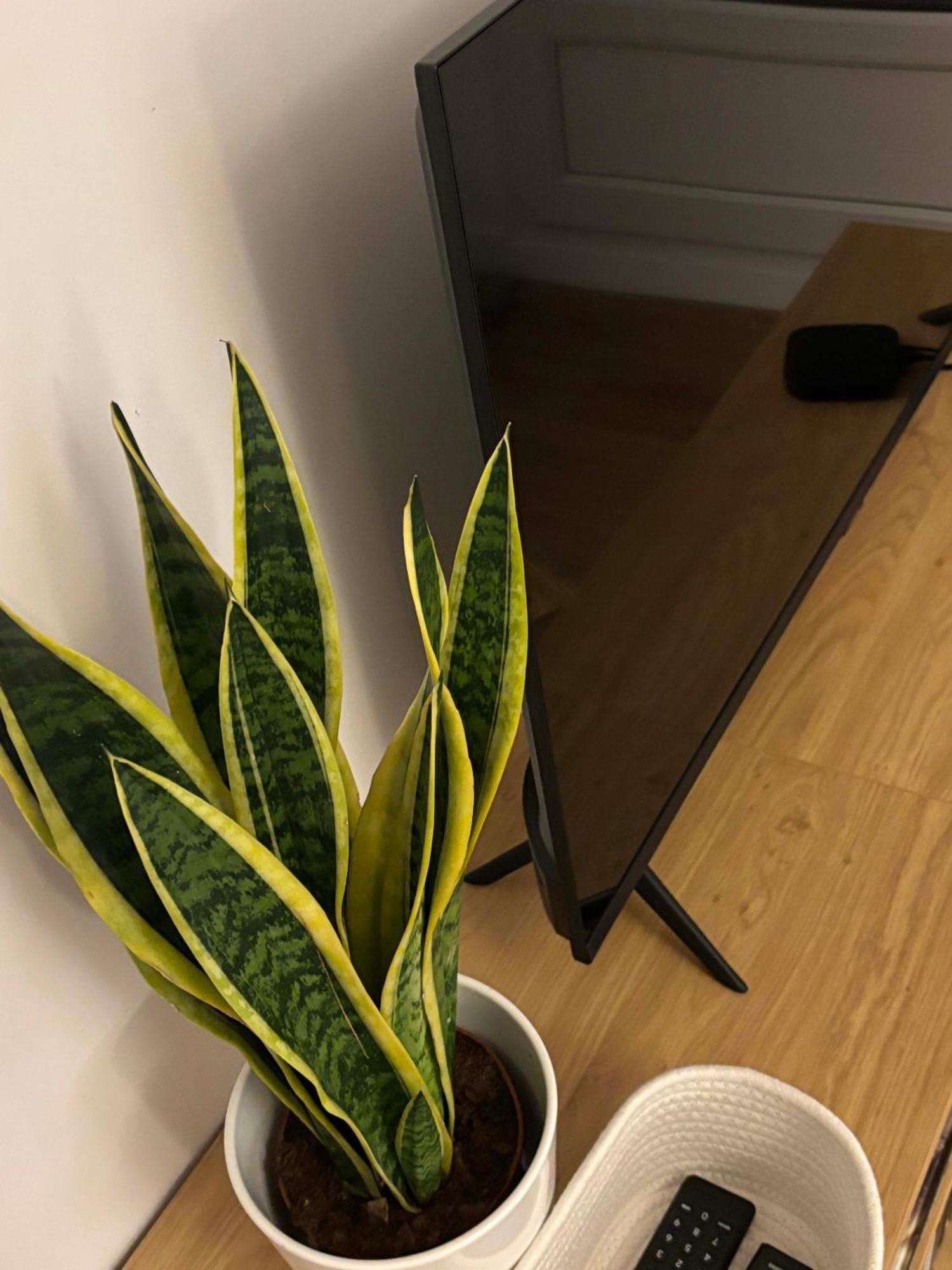 Place A Part Appartement
